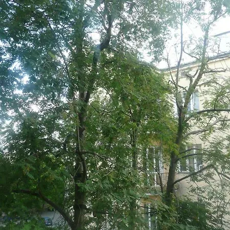 Sunny Wisla River * Varsóvia