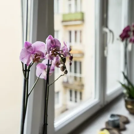 Sunny Wisla River 바르샤바